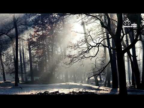 Evangelho Virtual do dia 22/07/2020