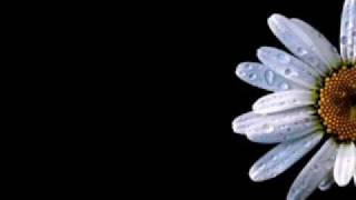 still believe in love