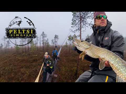 HAUKIRETKI SUOJÄRVELLE & SIMOJOELLE