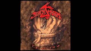 Blackstorm - Twist of Fate (Arkeyn Steel Records) 2009
