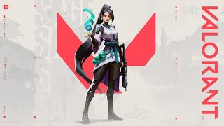 【VALORANT】セージせーじ誠二