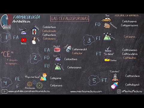 Cephalosporins: Easy to Memorize | Medical Minds