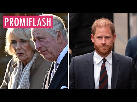 Camilla drängt König Charles zu Treffen mit Prinz Harry