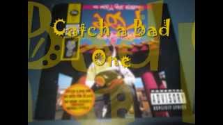 Del the Funky Homosapien - Catch a Bad One