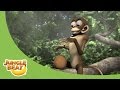 I Ve Got A Lovely Bunch Of Coconuts Jungle Beat Season 2