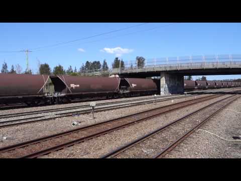 Four coal trains at Sandgate - 25/10/15