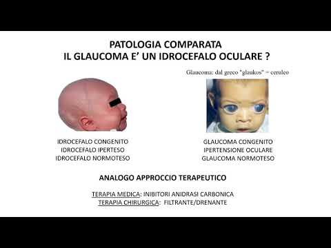 Congresso  - Alterazioni della Fase REM del Sonno