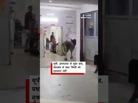 UP के ज़िला अस्पताल में सांड घुसने का वीडियो वायरल, प्रशासन ने क्या बताया?(BBC Hindi) #viralshorts