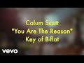Calum Scott - You Are The Reason (Karaoke Version)