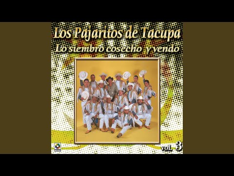 La Merma Del Traficante