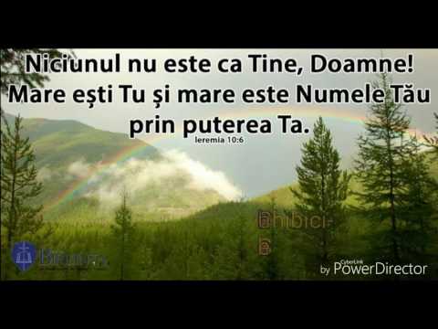 Lidia Cîrlan si Puiu Chibici- Sase zile