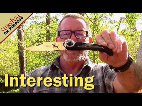Cold Steel Kudu - Strangely Pretty Cool