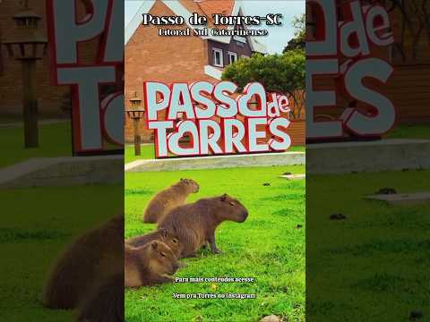 As famosas Capivaras do Rio Mampituba #sul #torresrs #arroiodosal #rotadosol #praia #riomampituba