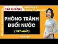Phòng tránh đuối nước Ngữ văn lớp 7 Chân trời sáng tạo