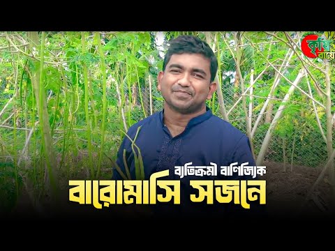 ব্যতিক্রমী বাণিজ্যিক বারোমাসি সজনে- Moringa Year round