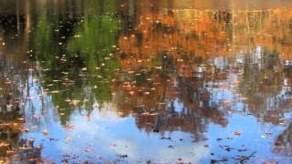 "When October Goes" - Jennifer Sheehan