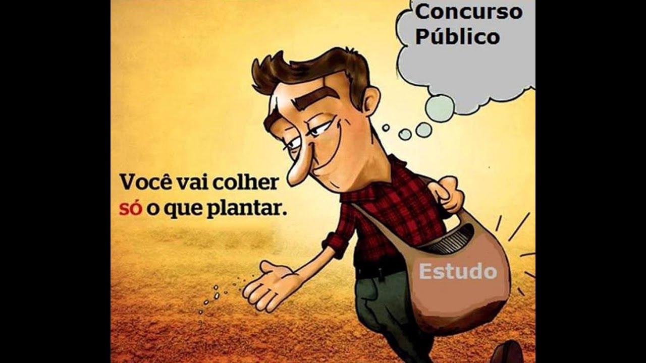 Avaliação da Aprendizagem   Cipriano Luckesi  Série Encontros