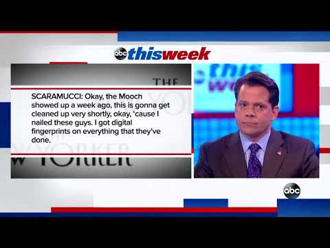 Watch the Mooch's Reaction to Audio of His Tirade Against White House Staff