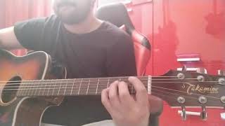 Standing Ovation-Vasco Rossi (Cover Guitar)