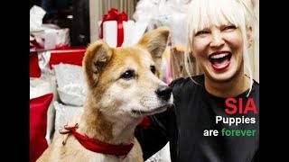 Sia - Puppies are forever