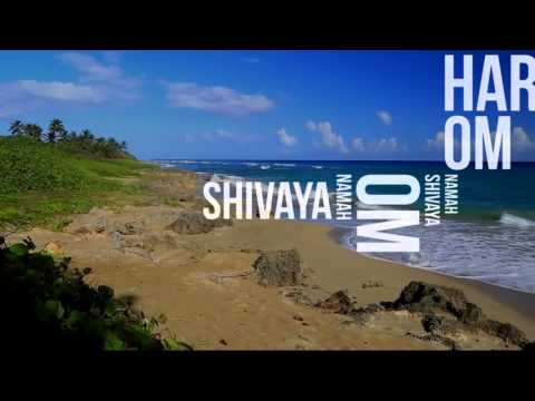 Shiva Shiva - Jim Gelcer [OFFICIAL LYRIC VIDEO]