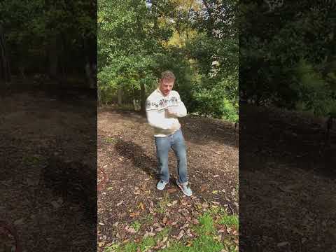 Astragalus Metformin Outperformance Metformin Alone For Diabitics