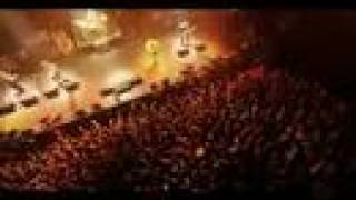 designer fetus (live)