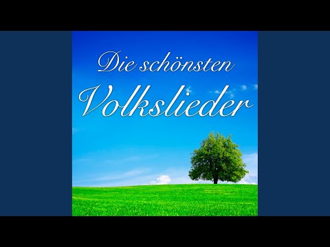 Wanderlieder-Medley: Im Frühtau zu Berge / Auf du junger Wandersmann / Das Wandern ist des...