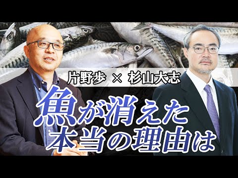 漁業: 持続可能性は利益さえもたらす