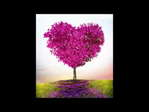 Moonbeam - After time