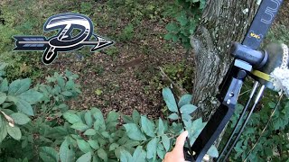 Recurve Doe #2 In Pennsylvania Early Season - Traditional Bowhunting - The Push Archery - Season 4