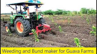How to provide Bunds for Guava Farm / High Density Guava Farming in Ariyalur, Tamil Nadu