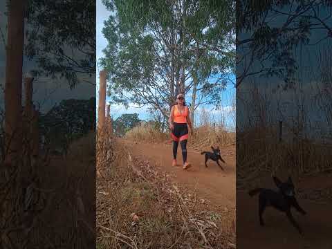 Caminhada sertaneja Comunidade Santa Rita município Vianópolis Goiás Brasil