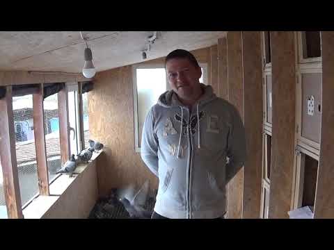 Interviu columbofil dl Mitrescu Iulian Filipesti de Padure Prahova Romania 7 noiembrie 2020 part 2