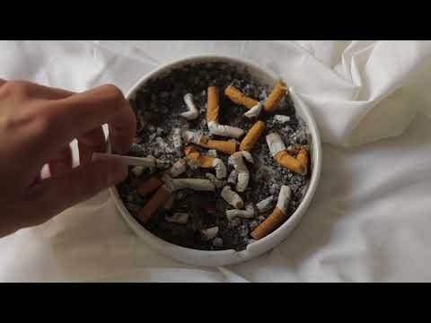 Perigon Peperoni and Cream - Official Music Video