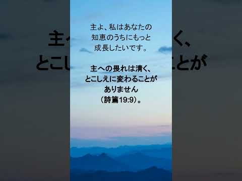 動画を再生