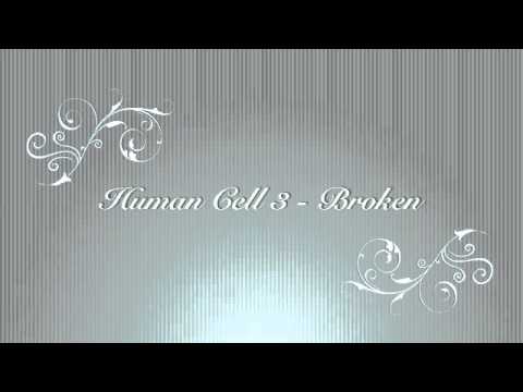 Band - Human Cell 3 - Song - Broken