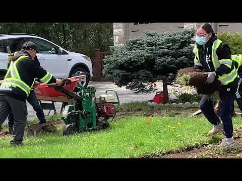 Remove Old Grass Using Sod Cutter
