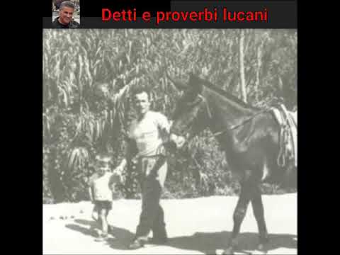 Detti e proverbi lucani