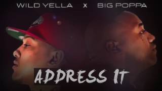 Wild Yella x Big Poppa - Address It