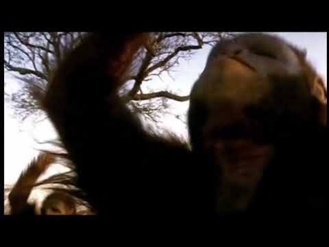 TRILOGY OF LIFE - Walking with Cavemen - Australopithecus Rudolfensis.   M