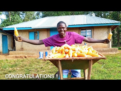 Grosse surprise 🎉🎉 Première ÉNORME récolte de notre ferme en 2026, que de bonnes choses vous atte...