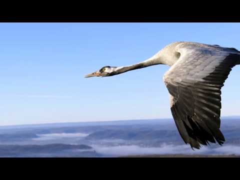 매혹적인 세상을 탐험하는 인생 여행에 대한 모든 것