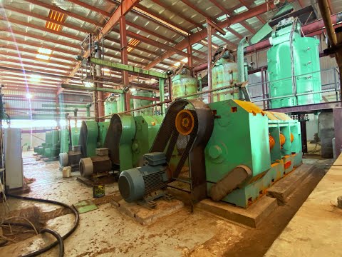 200 TPD Automatic Groundnut Oil Mill Plant installed in Sudan