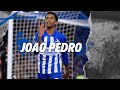 Joao Pedro • Skills & Goals • Brighton & Hove Albion • 2023/24 |HD