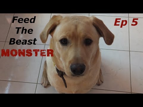 FTB Monster Ep 5 - Hammer Time!