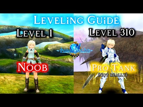 Noob to Pro Tank Leveling Guide (Level 1–310) | Toram Online