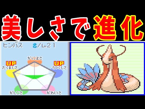 アイリスバス アゴラについて詳しく解説