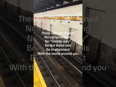 Literally “rail fanning” #nycsubway #railfan #railfanning thumbnail