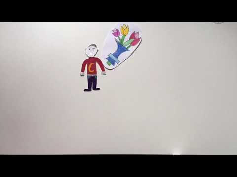 Aufbau und Funktion der Pflanzen- und Tierzelle